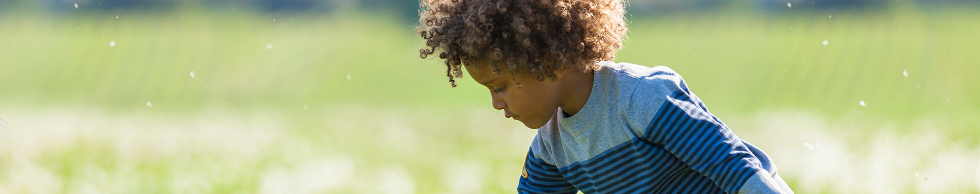 Kid picking dandelion